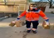 “Masă pentru medici” - un proiect inițiat de JCI 