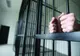 Trei bărbaţi din judeţul Cluj condamnaţi la închisoare pentru tăiere ilegală de arbori