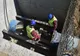 Stația de tratare a apei din Gilău va fi modernizată cu fonduri europene