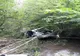 ACCIDENT: Doi bărbaţi au căzut cu maşina de la 3 metri în albia unui pârâu (FOTO)
