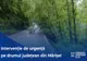 Intervenţie de urgență pe drumul județean din Mărişel în urma căderilor masive de precipitaţii