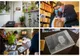 Case de Poveste - educație culturală cu Sigismund Toduță, Doina Cornea și Ioana Em. Petrescu