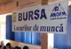 Bursa locurilor de muncă pentru absolvenți: aproape 16.300 de posturi disponibile în Cluj