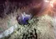 Accident cu două maşini pe centura de ocolire Vâlcele-Apahida! Două persoane au fost rănite (FOTO)