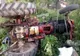 Tragedie într-o pădure din județul Cluj! Un bărbat a murit după ce s-a răsturnat cu tractorul