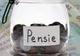 Ministrul Muncii: „Toate pensiile vor crește de la 1 ianuarie 2025!” Noi detalii despre recalculare