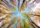 VREMEA 18 SEPTEMBRIE. SE ÎNCĂLZEȘTE UȘOR ÎN CEA MAI MARE PARTE A ȚĂRII