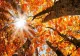 VREMEA 19 SEPTEMBRIE. TEMPERATURI ÎN UȘOARĂ CREȘTERE