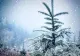 Vremea în februarie: temperaturi ușor peste normal și precipitații extinse