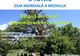 Trasee tematice la UBB de Ziua Mondială a Mediului