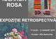 Expoziție retrospectivă Iolanda Rosa (1926-2007) la Muzeul Etnografic al Transilvaniei