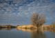 Numărul turiştilor din Deltă a scăzut cu circa 40% anul trecut faţă de 2022