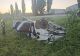 Tragedie pe șosea în Brăila: un tânăr de 19 ani a murit în urma unui accident cumplit